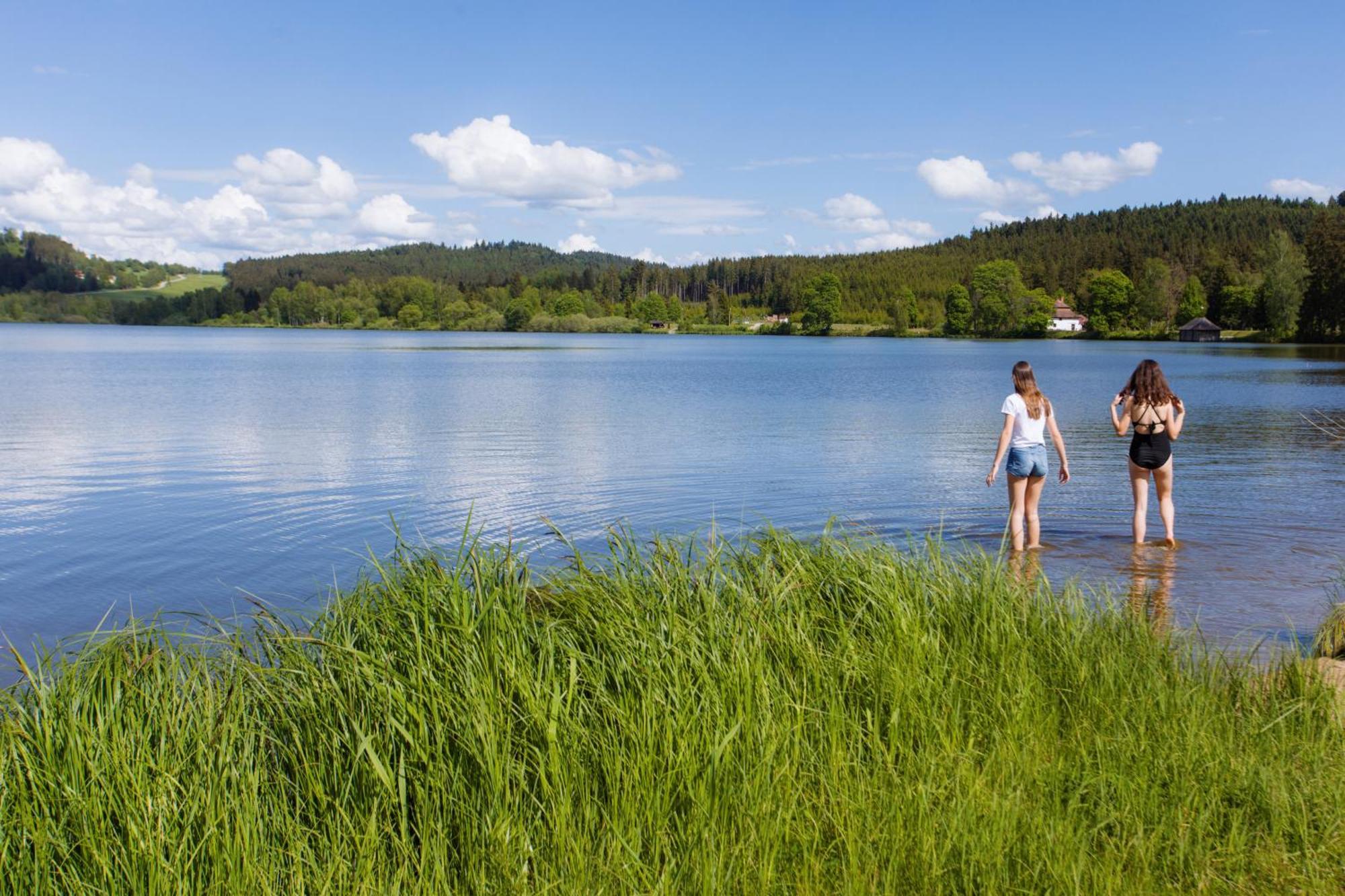 Resort Olsina Horní Planá Εξωτερικό φωτογραφία