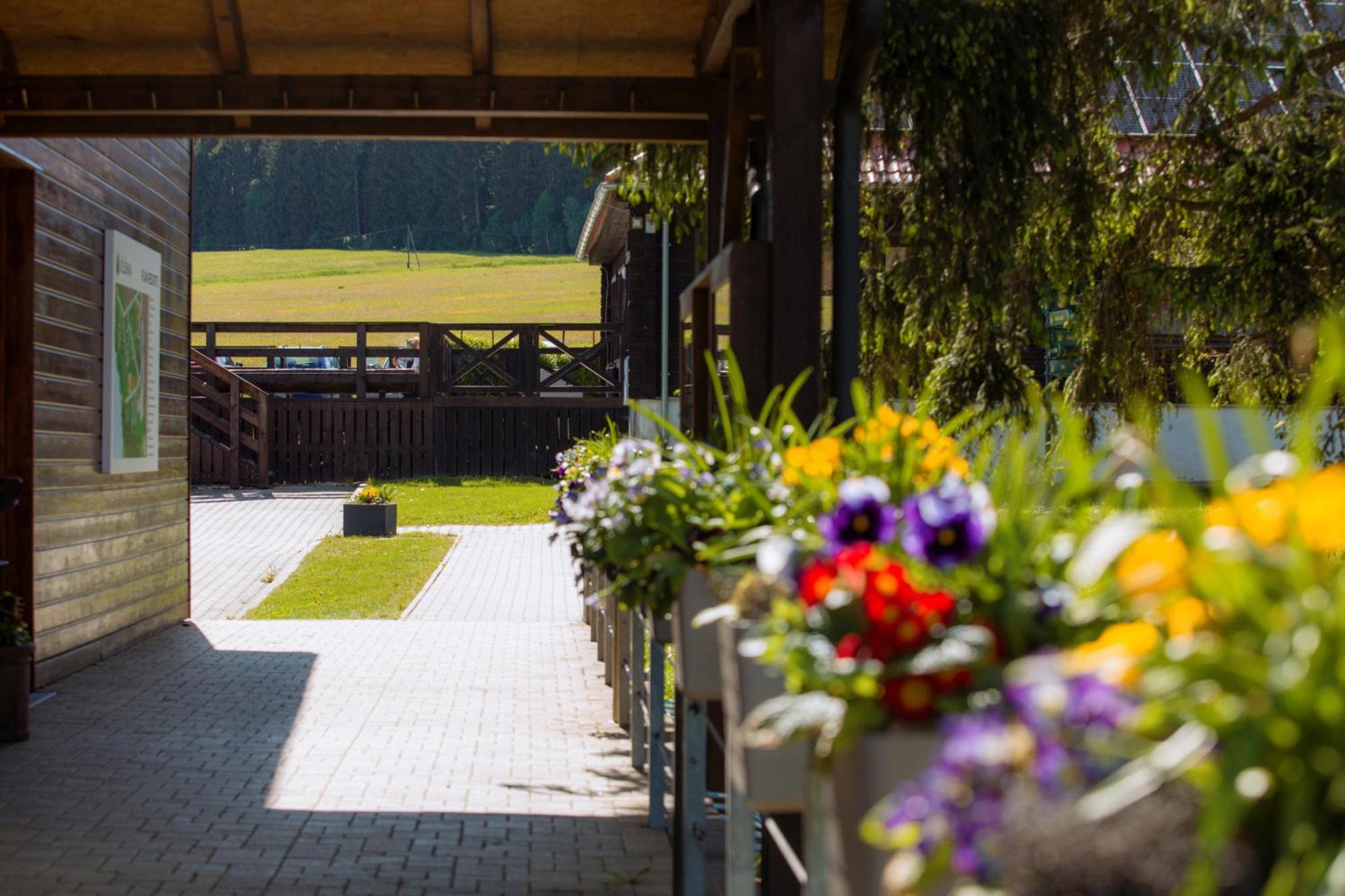 Resort Olsina Horní Planá Εξωτερικό φωτογραφία