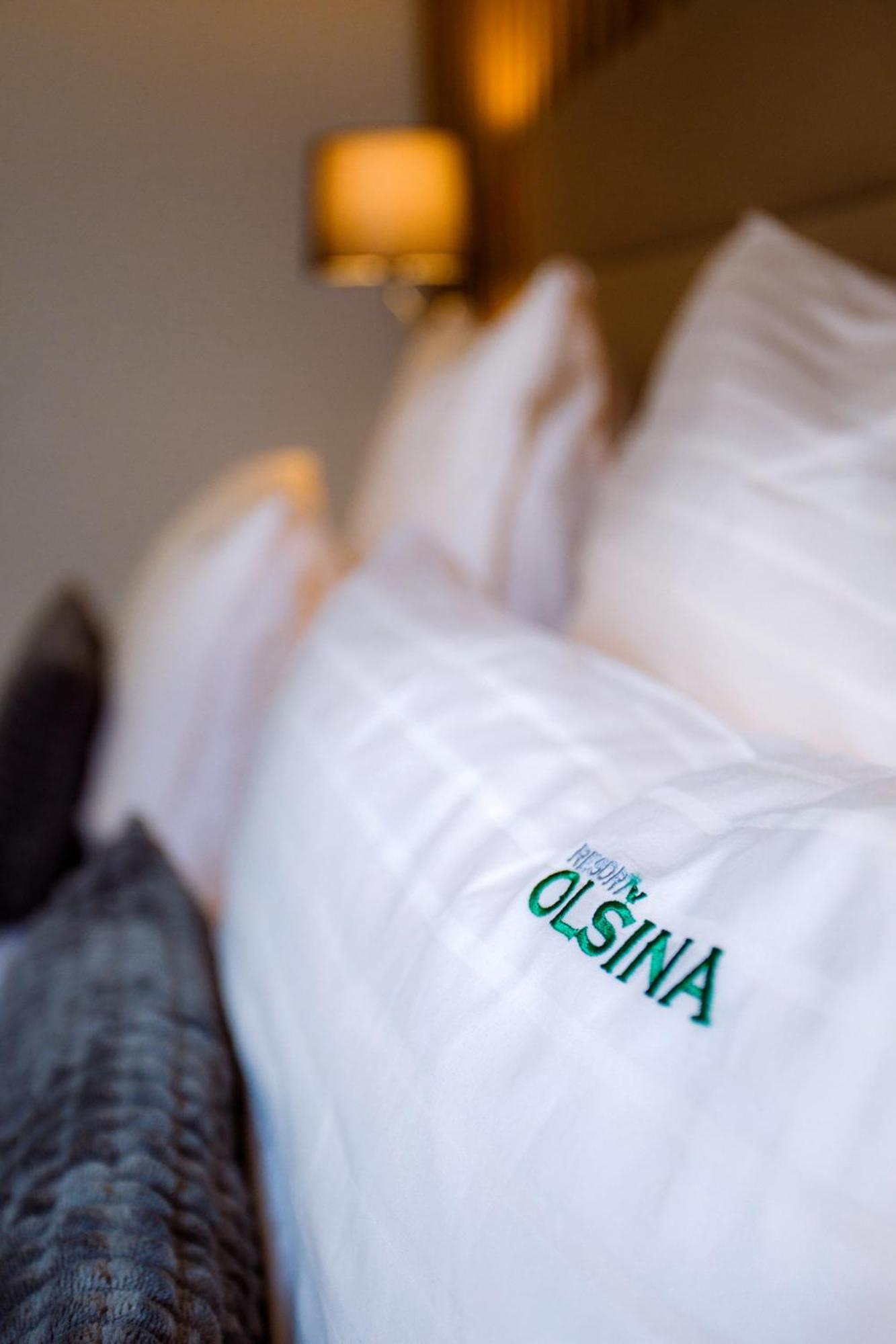 Resort Olsina Horní Planá Εξωτερικό φωτογραφία